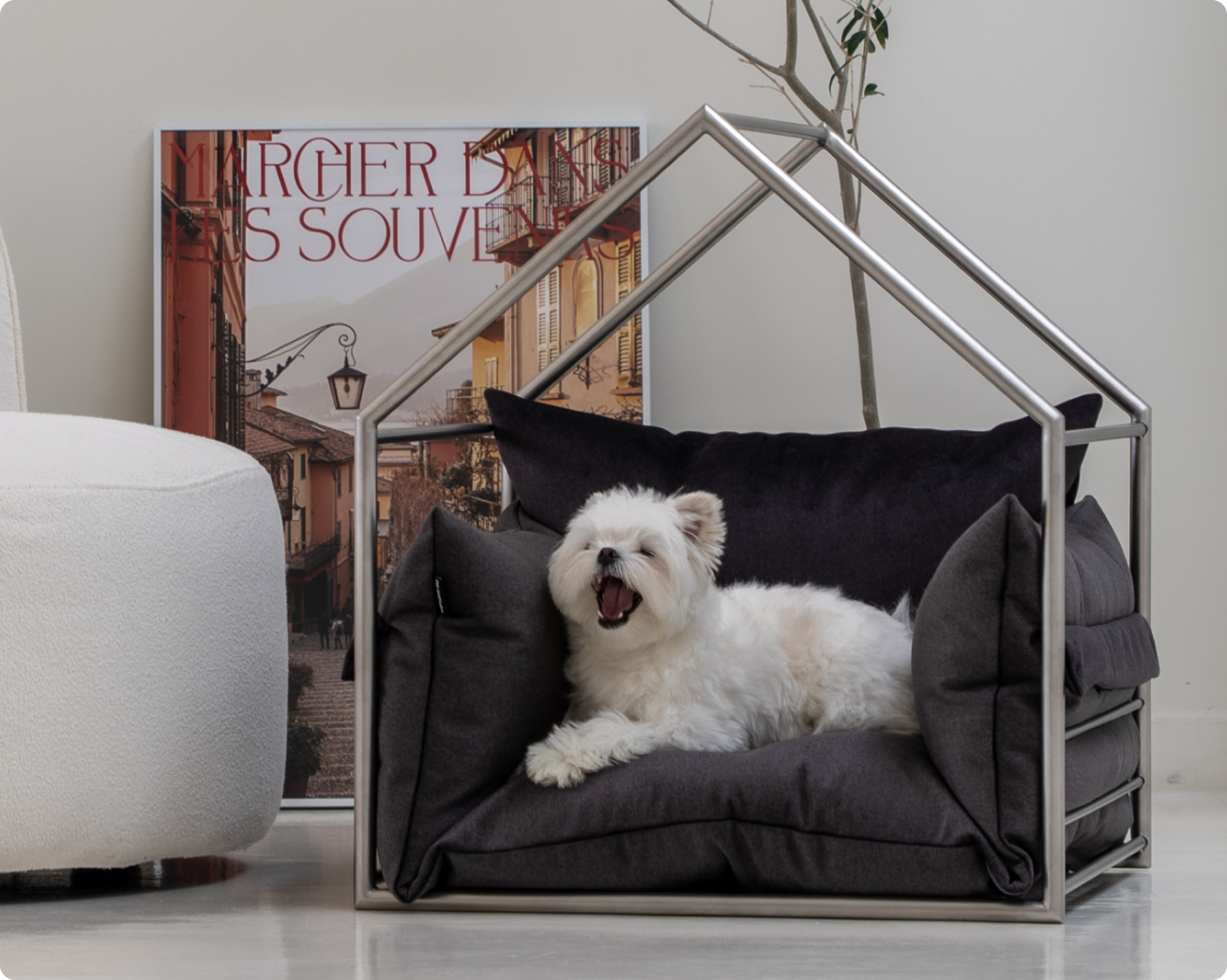 도무스 필로우형