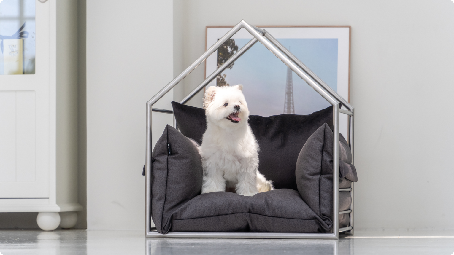 도무스 필로우형