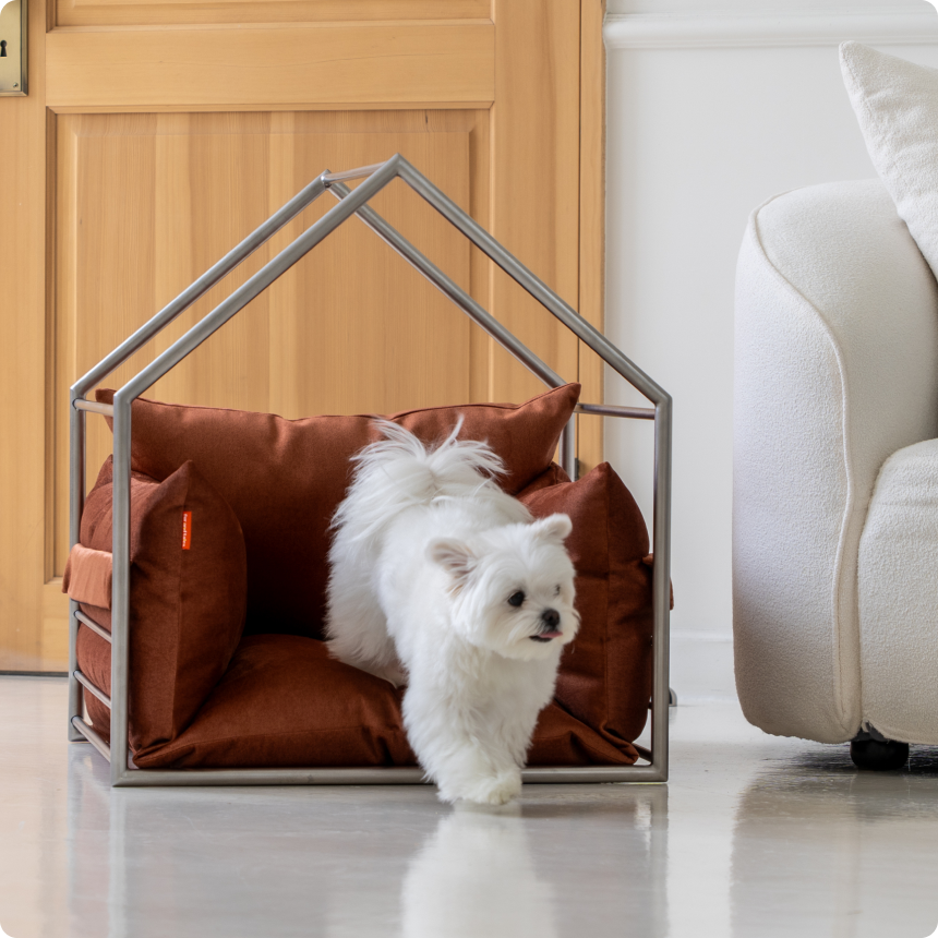 도무스 필로우형