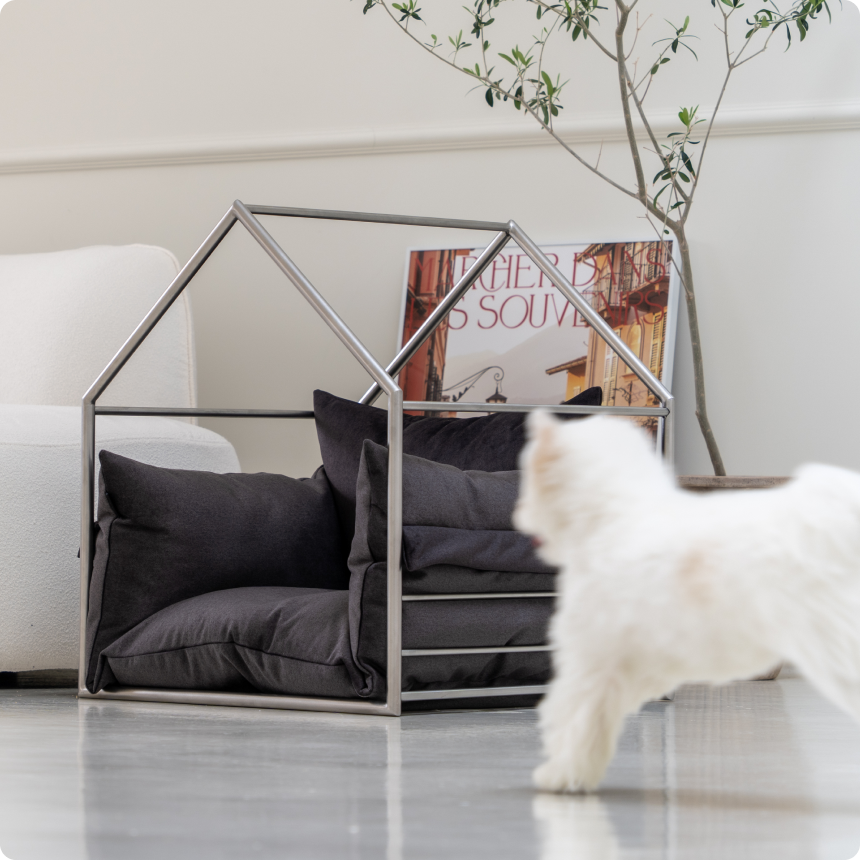 도무스 필로우형