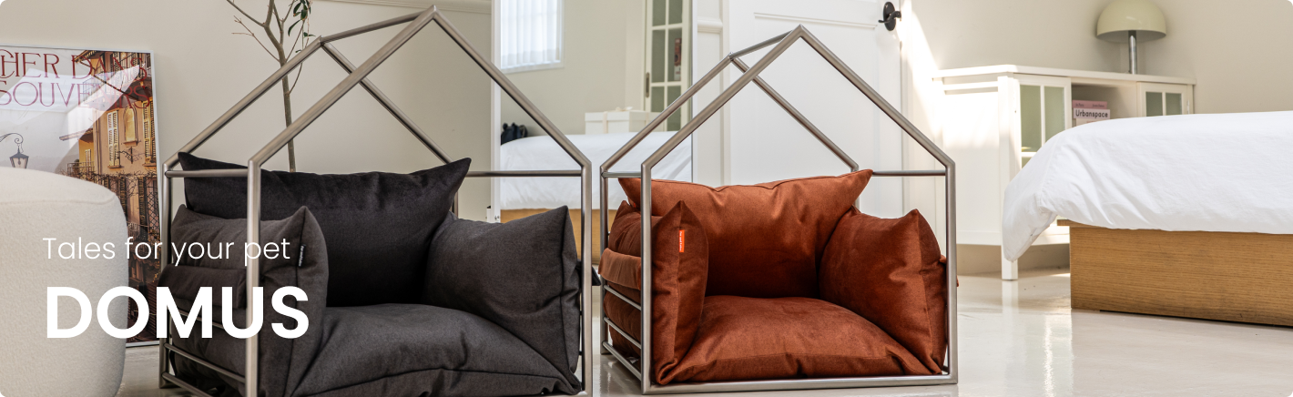 도무스 필로우형