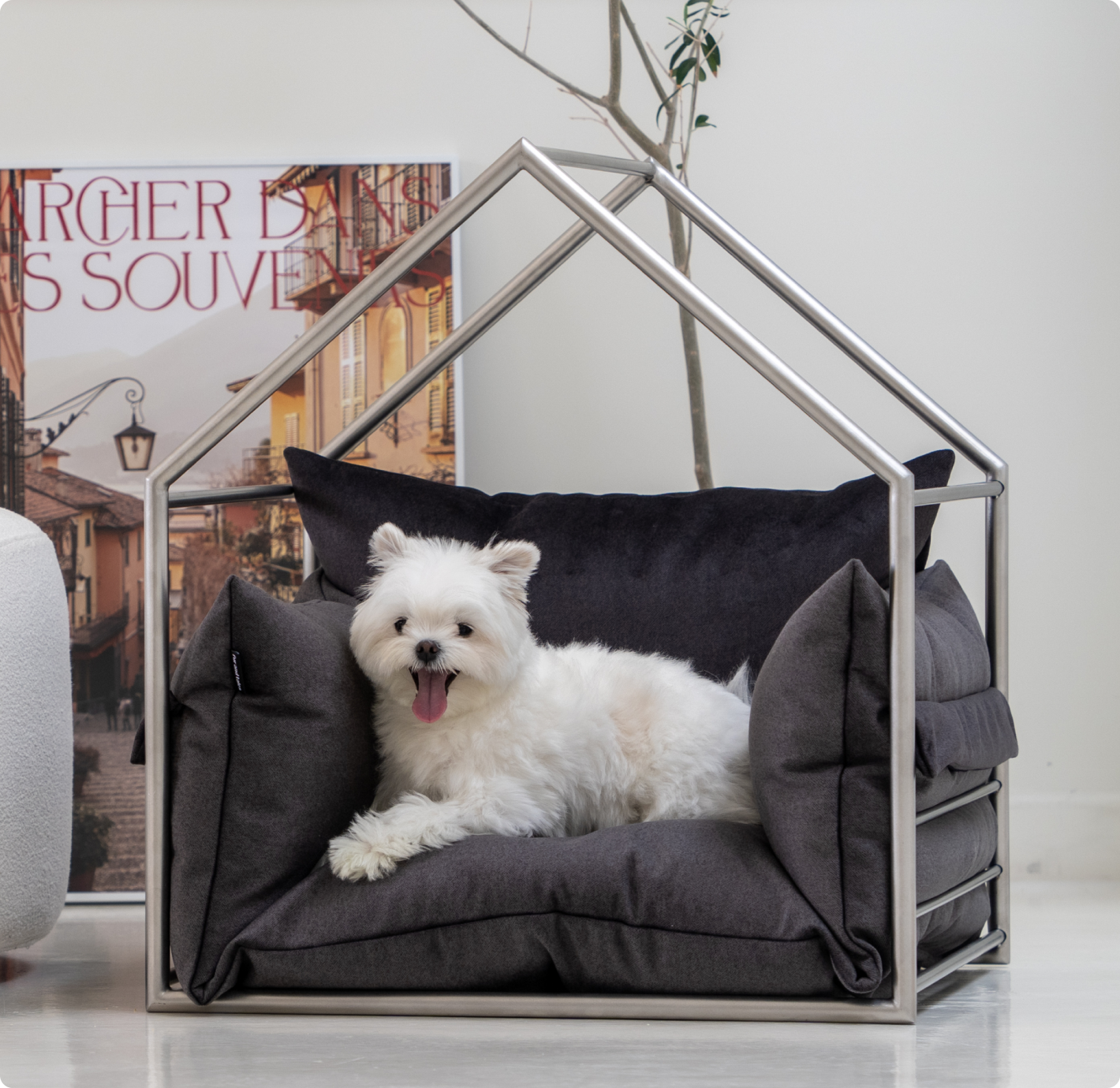 도무스 필로우형