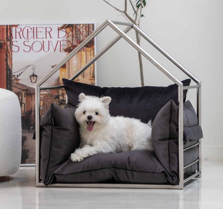 도무스 필로우형